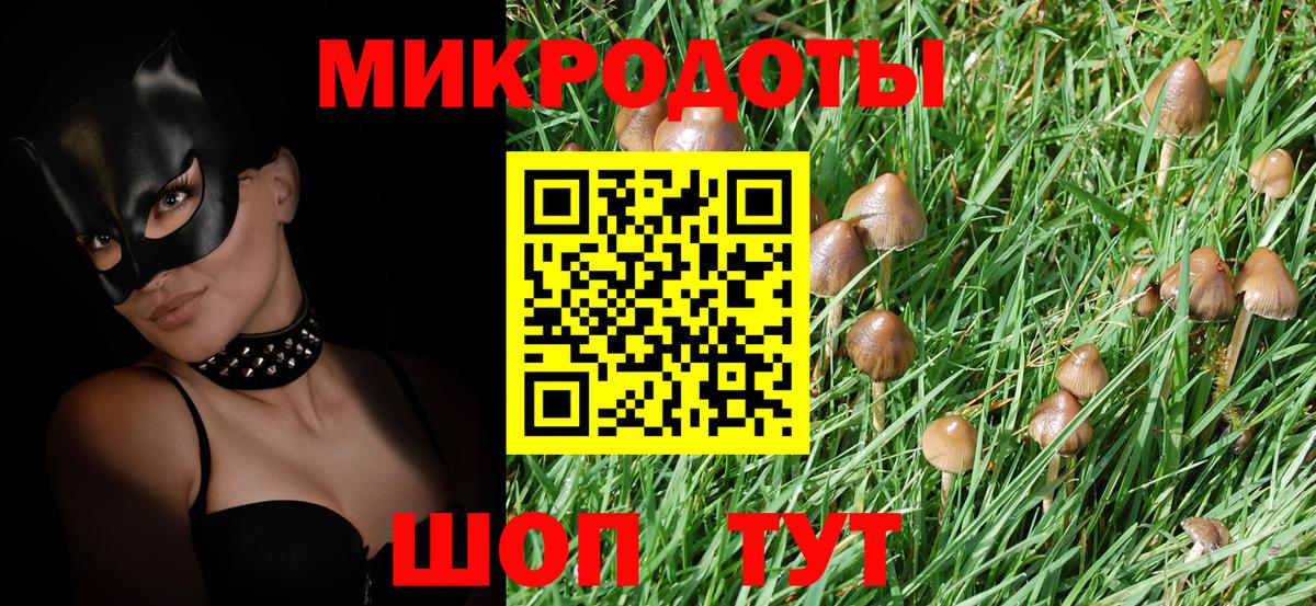 Галлюциногенные грибы ЛСД Можга