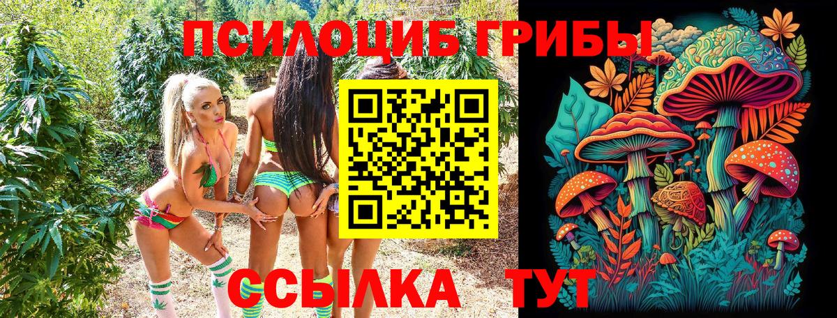 Галлюциногенные грибы Psilocybe  Вход с VPN  Можга  Галлюциногенные грибы GOLDEN TEACHER 